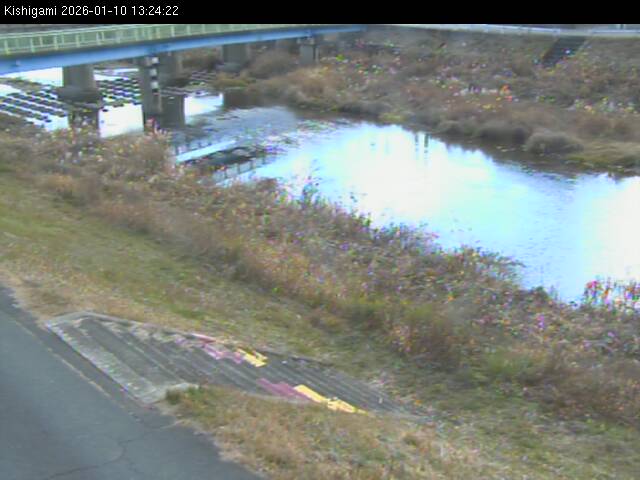 最新監視カメラ画像