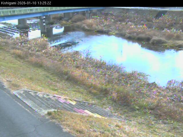 最新監視カメラ画像