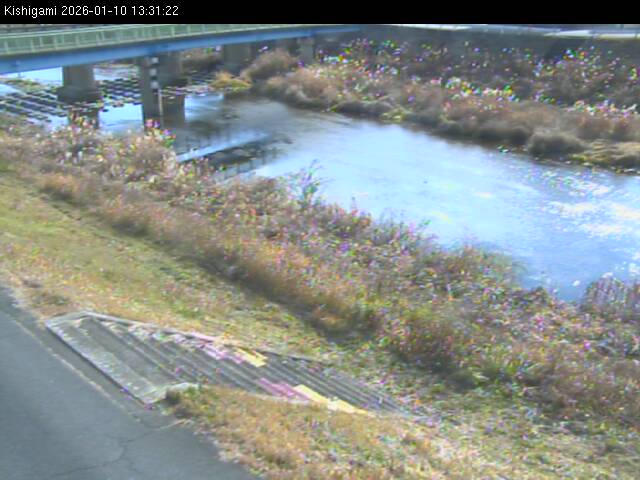 最新監視カメラ画像