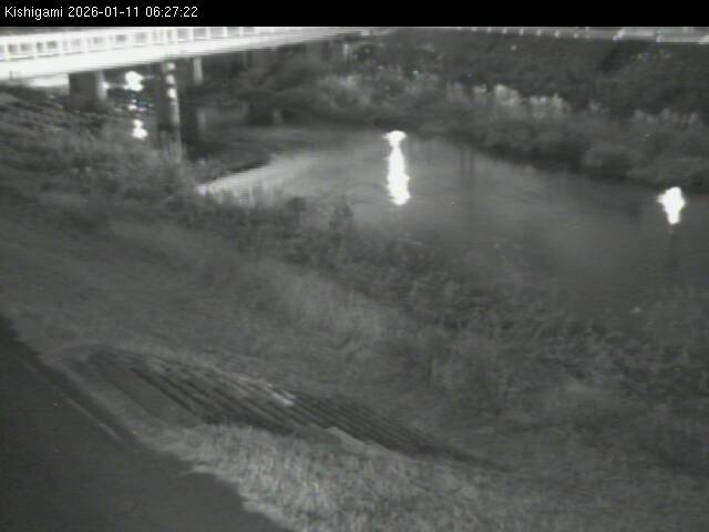 最新監視カメラ画像