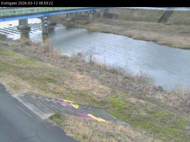 最新監視カメラ画像