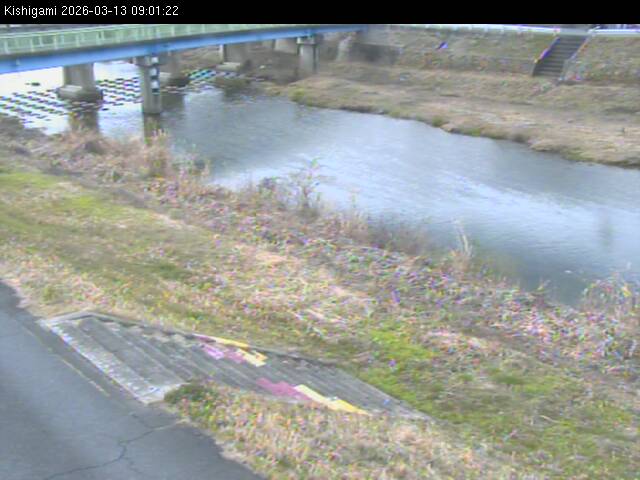 最新監視カメラ画像