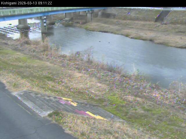 最新監視カメラ画像