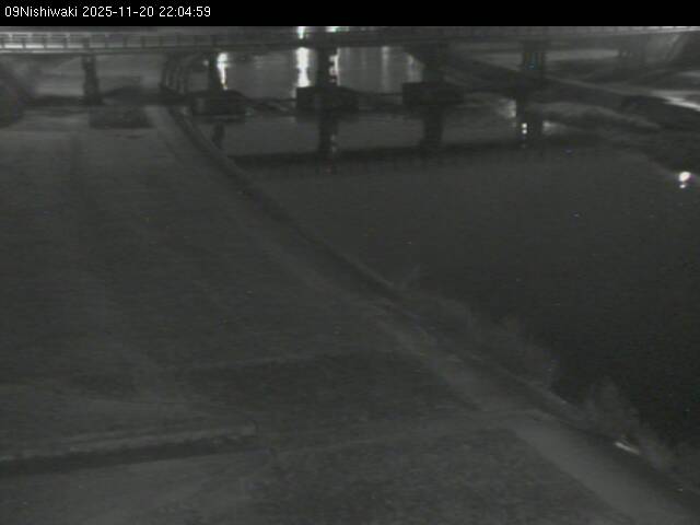 最新監視カメラ画像