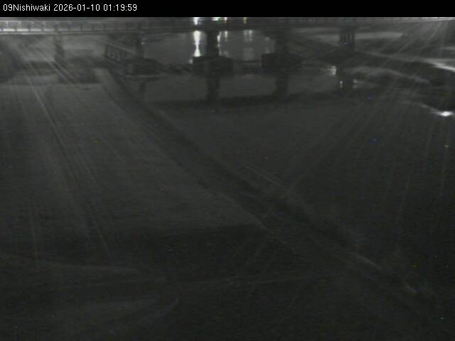 最新監視カメラ画像