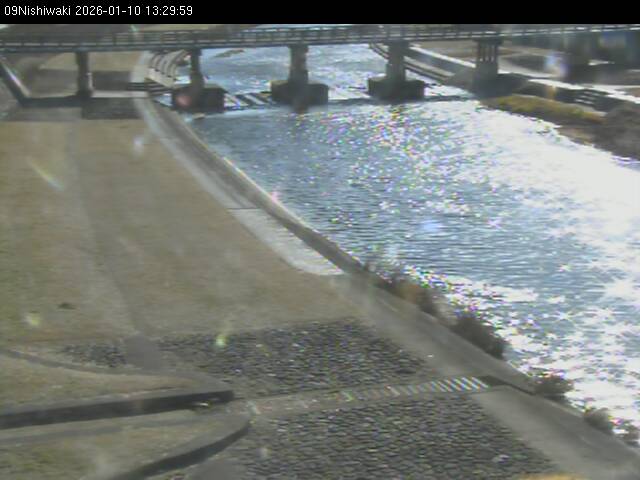 最新監視カメラ画像