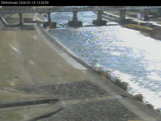 最新監視カメラ画像