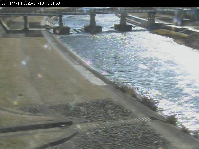 最新監視カメラ画像