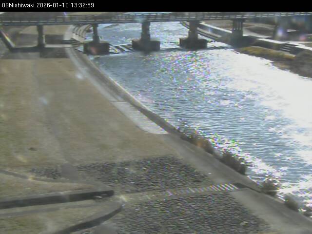 最新監視カメラ画像