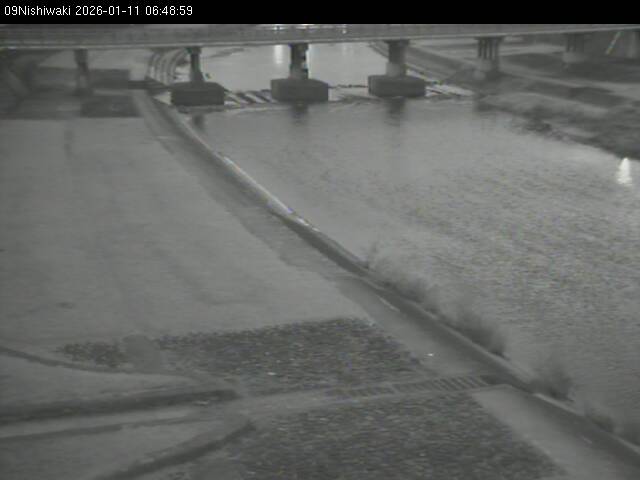 最新監視カメラ画像