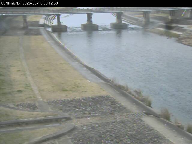 最新監視カメラ画像