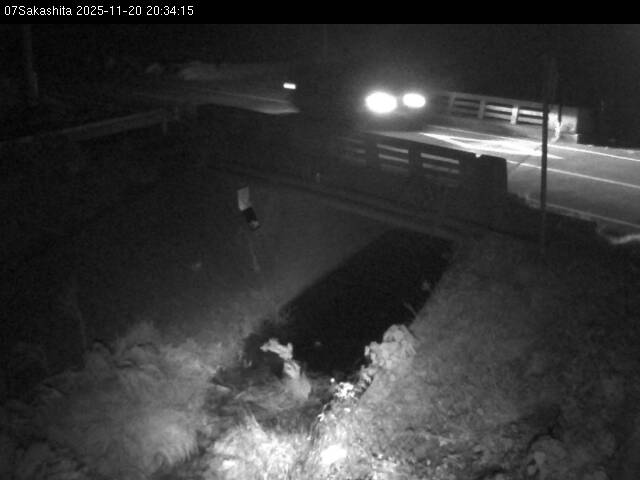 最新監視カメラ画像