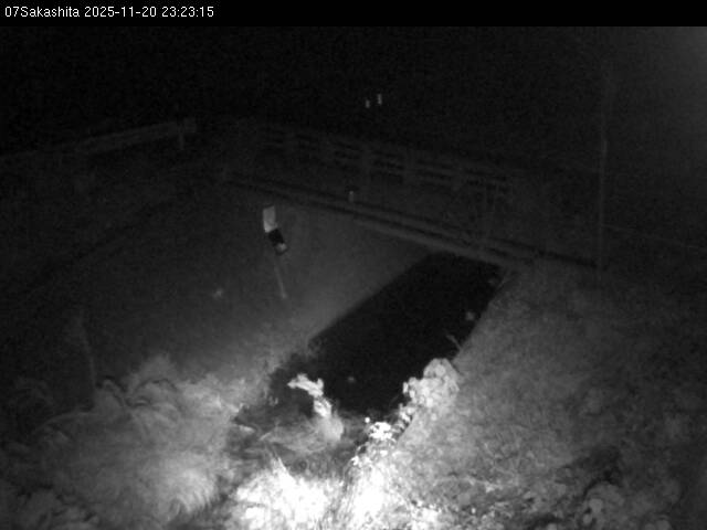 最新監視カメラ画像