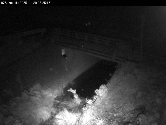 最新監視カメラ画像