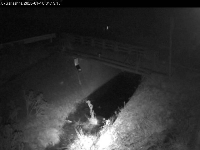 最新監視カメラ画像