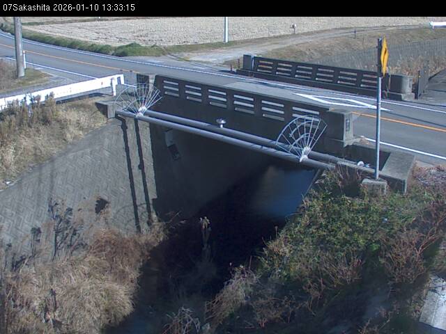 最新監視カメラ画像