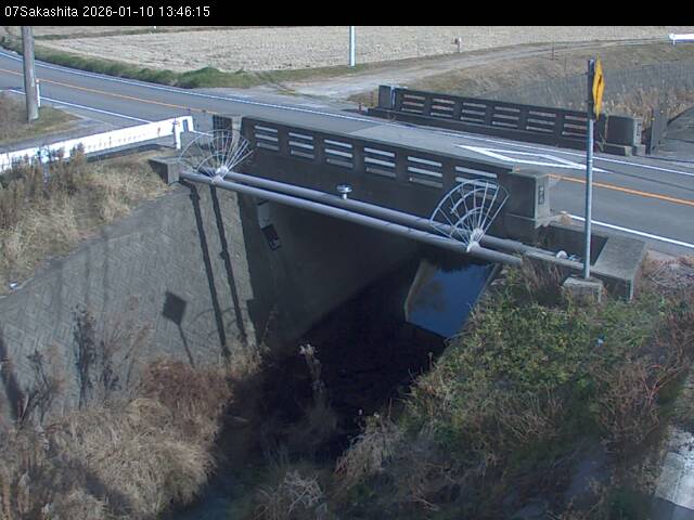 最新監視カメラ画像