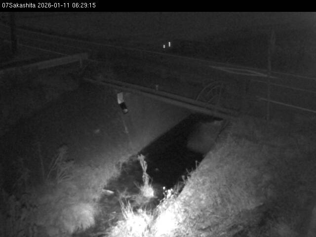 最新監視カメラ画像