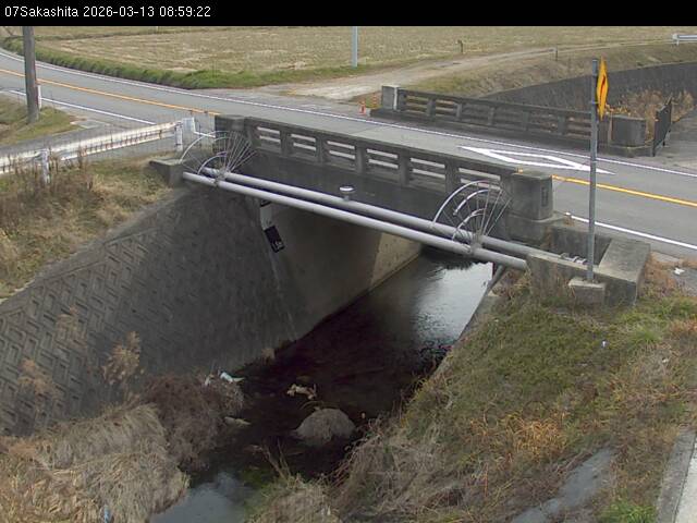 最新監視カメラ画像