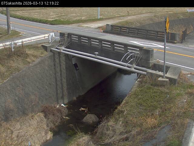 最新監視カメラ画像