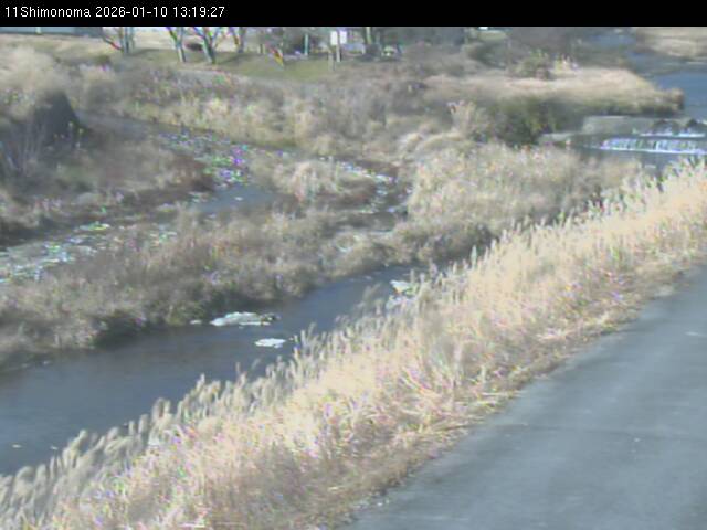 最新監視カメラ画像