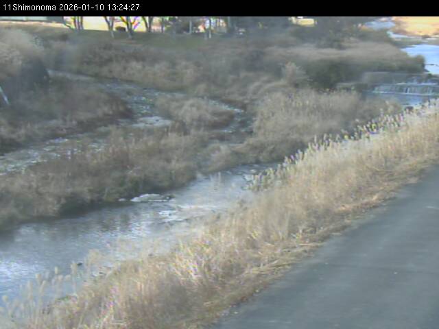 最新監視カメラ画像