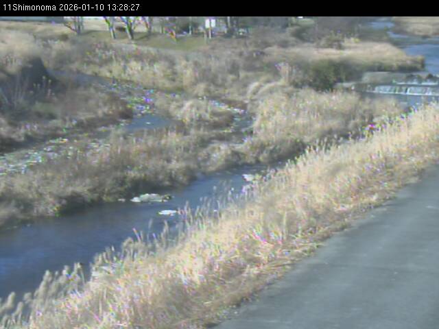 最新監視カメラ画像