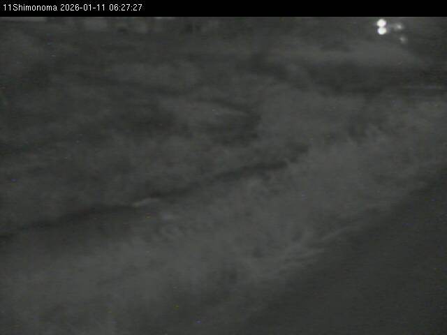 最新監視カメラ画像