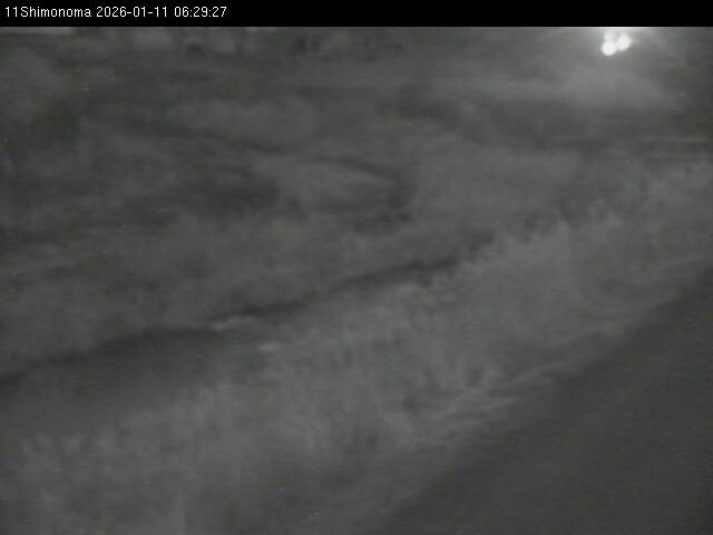 最新監視カメラ画像