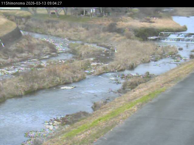 最新監視カメラ画像