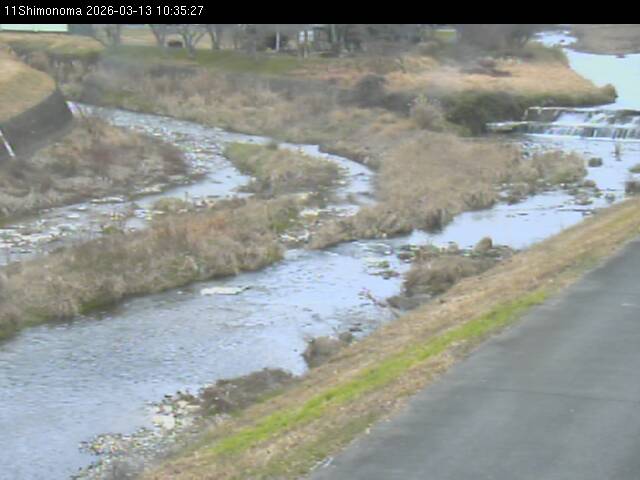 最新監視カメラ画像