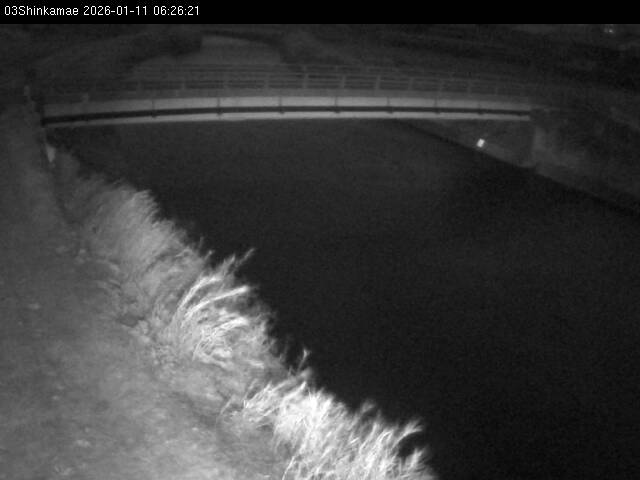 最新監視カメラ画像