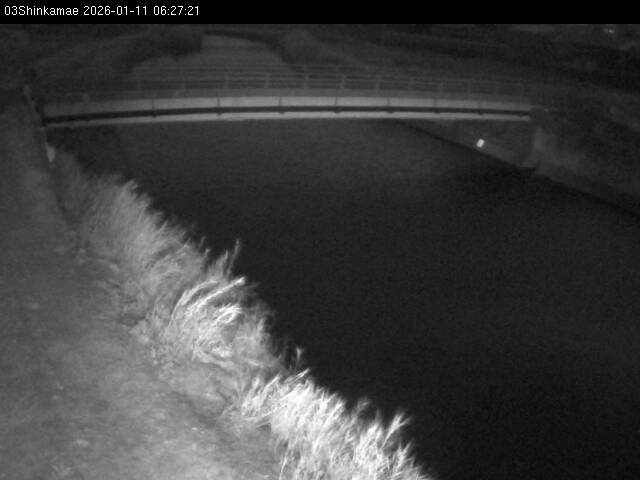 最新監視カメラ画像