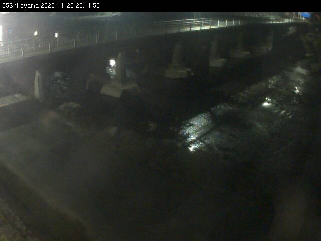 最新監視カメラ画像