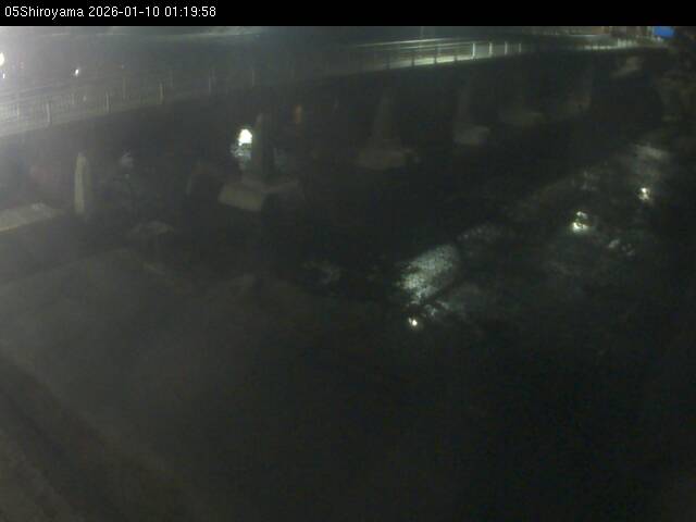 最新監視カメラ画像