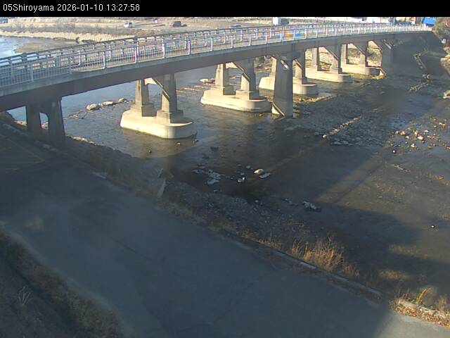 最新監視カメラ画像