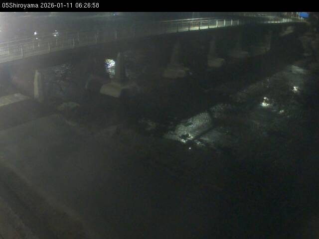 最新監視カメラ画像