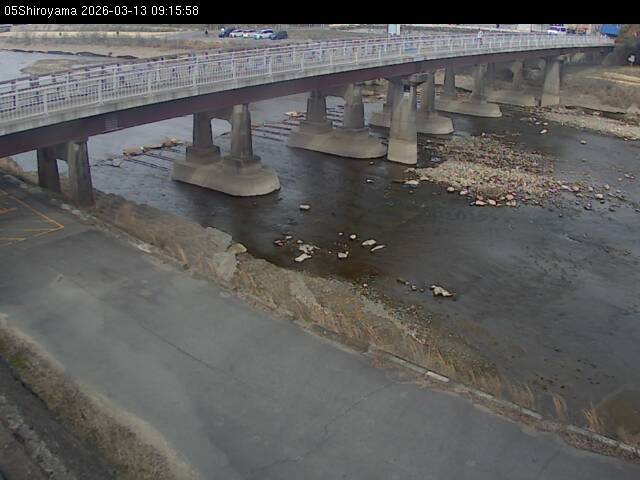 最新監視カメラ画像