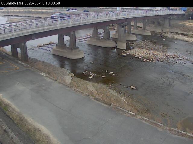 最新監視カメラ画像