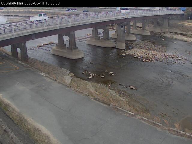 最新監視カメラ画像