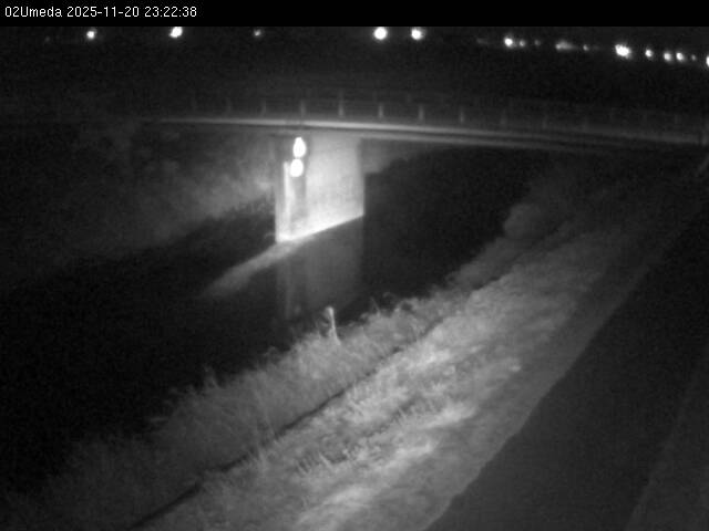 最新監視カメラ画像