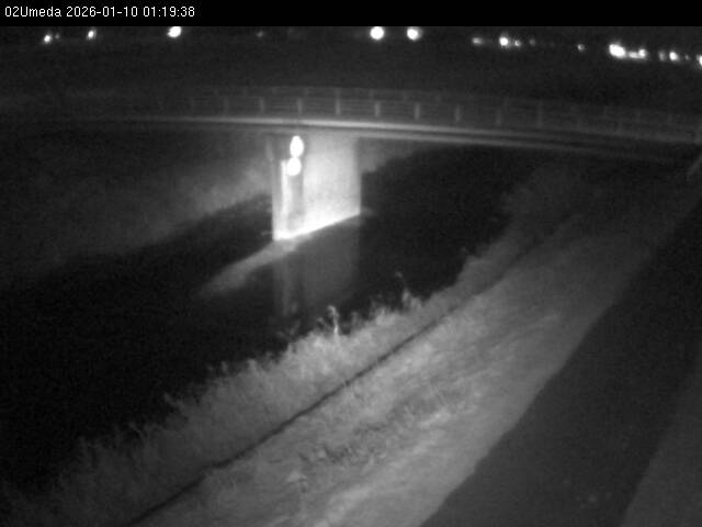 最新監視カメラ画像