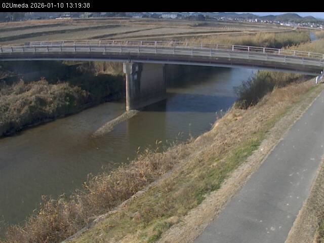 最新監視カメラ画像