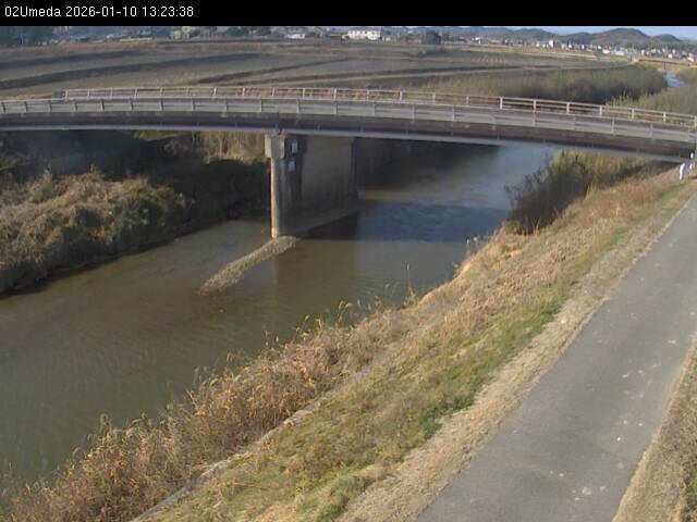 最新監視カメラ画像