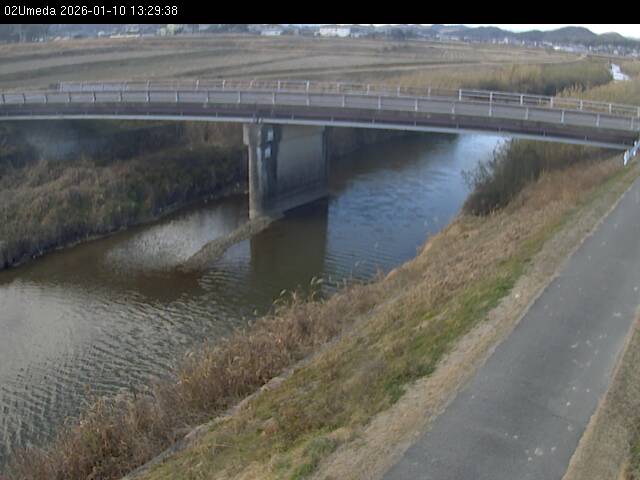 最新監視カメラ画像