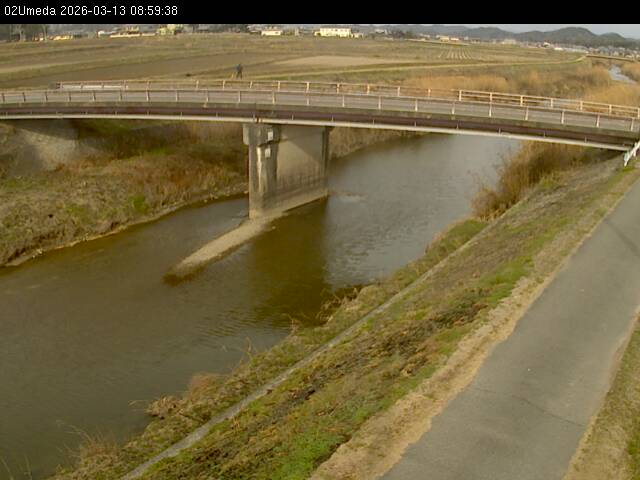 最新監視カメラ画像