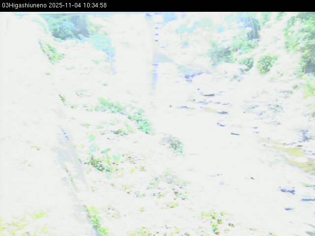 最新監視カメラ画像