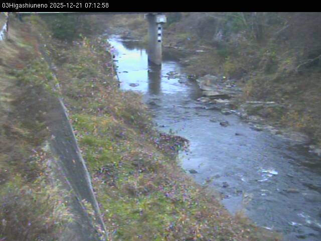 最新監視カメラ画像