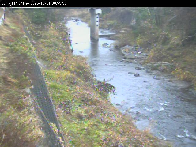 最新監視カメラ画像