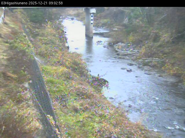 最新監視カメラ画像